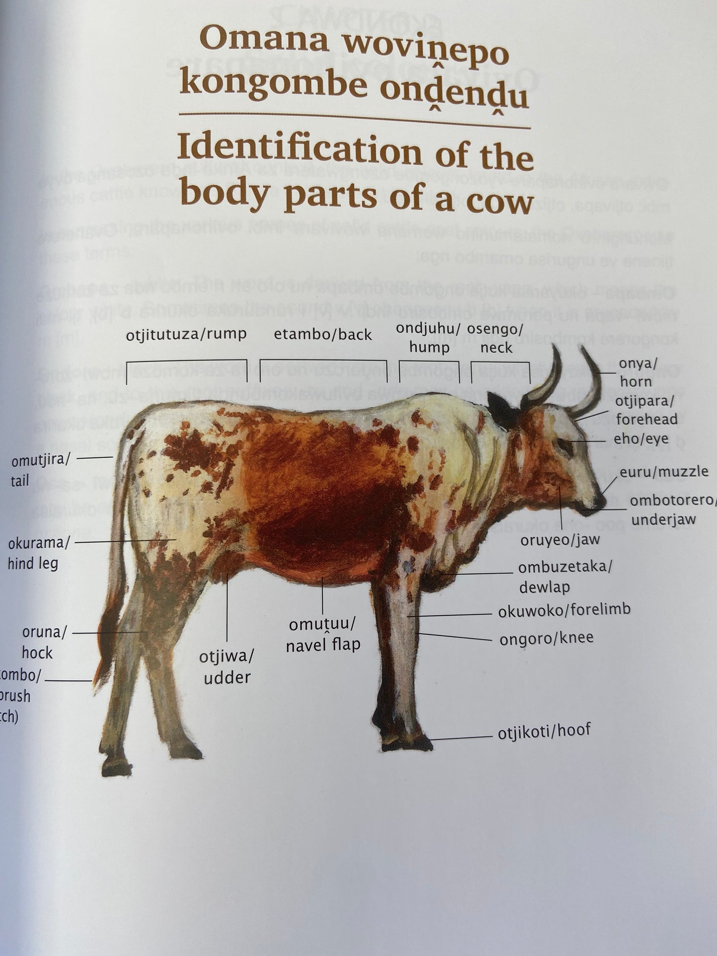 Hangara et al, Unam Press Ozongombe, 165 pages