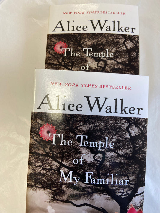 mariner/Walker 2010 the temple of my familiar, 416 Pages